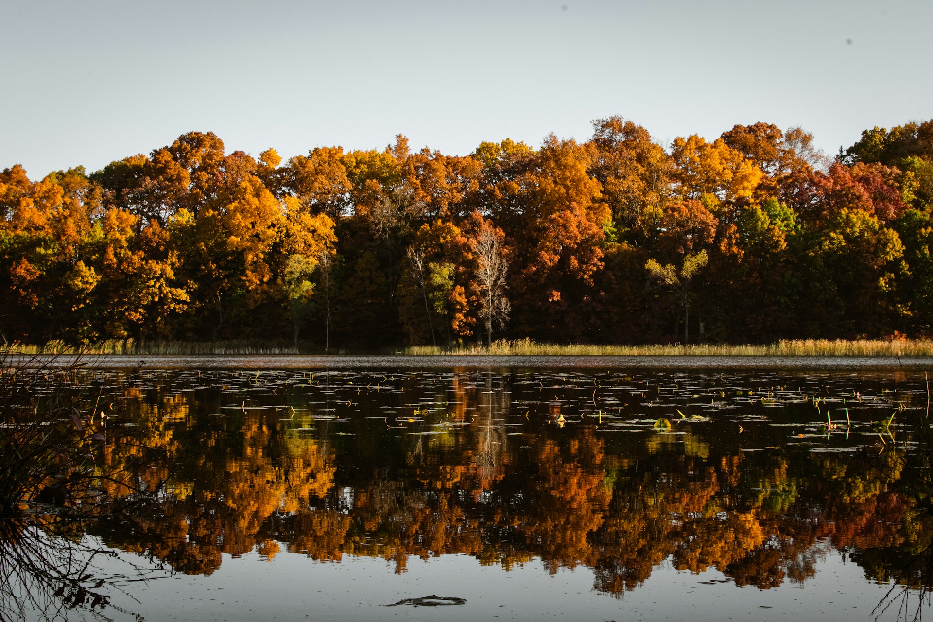 Kalamazoo, MI